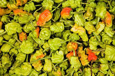 扳机社为3V3竞技新游《Omega strikers》制作OP